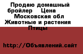 Продаю домашный бройлер  › Цена ­ 250 - Московская обл. Животные и растения » Птицы   